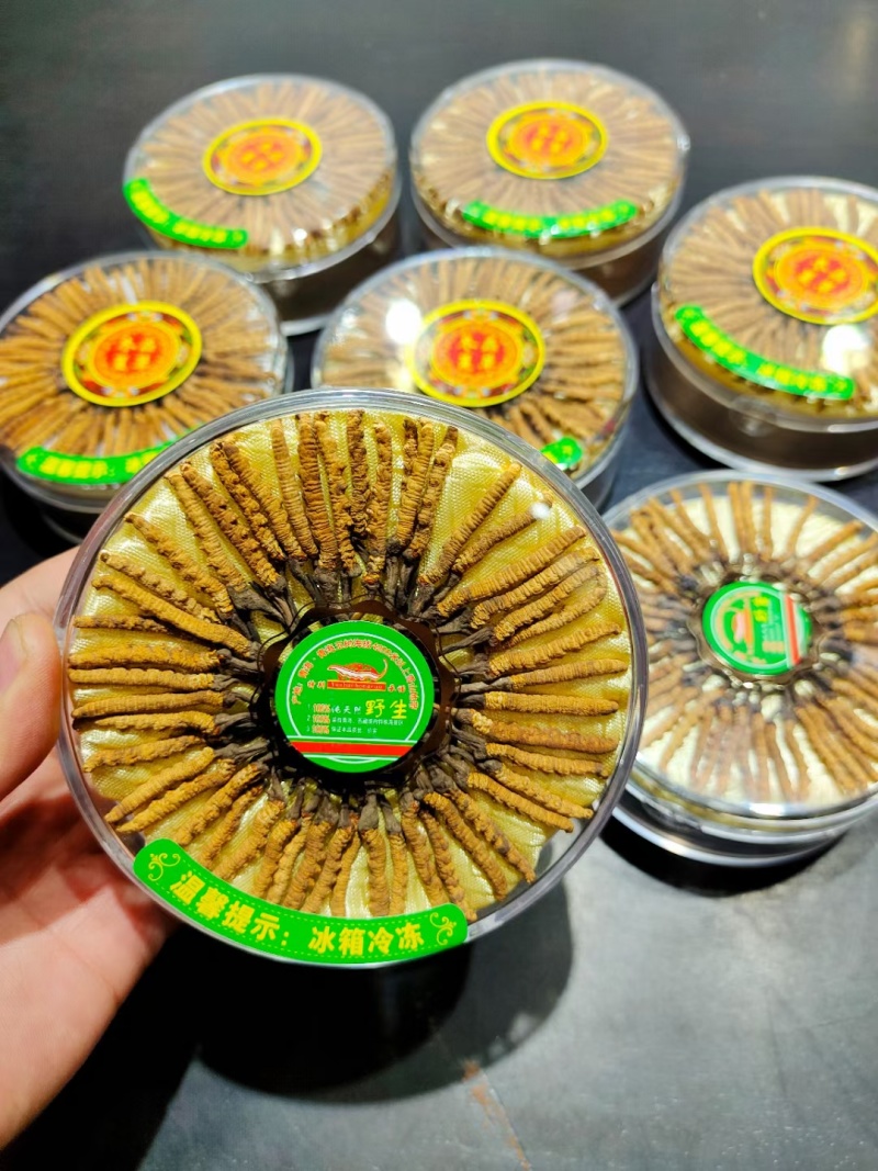 冬虫夏草那曲野生精品，礼盒装，送礼自用，原产地批发零售
