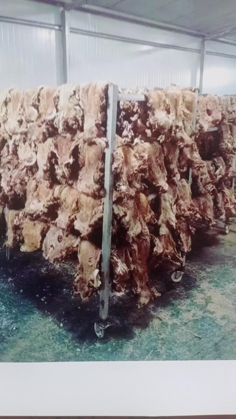 羊肉熟羊肉卤羊肉棉羊肉各种羊副产品供应电话联系