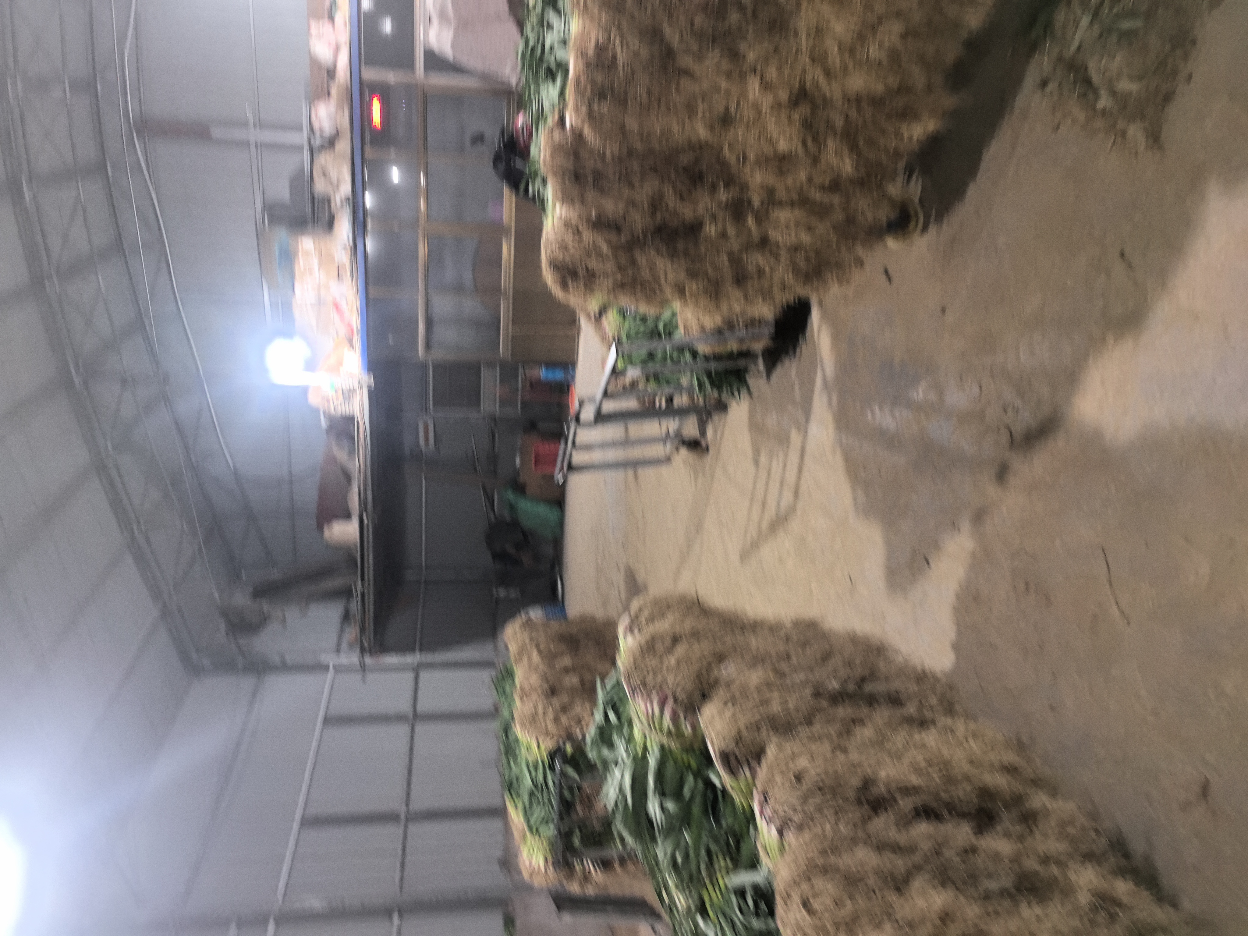 市场销售与包装展示