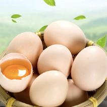 粉壳蛋，红心蛋，健康营养，农场直供，保证品质