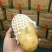 【推荐】山东荷兰十五黄心土豆一手货源对接市场商超电商