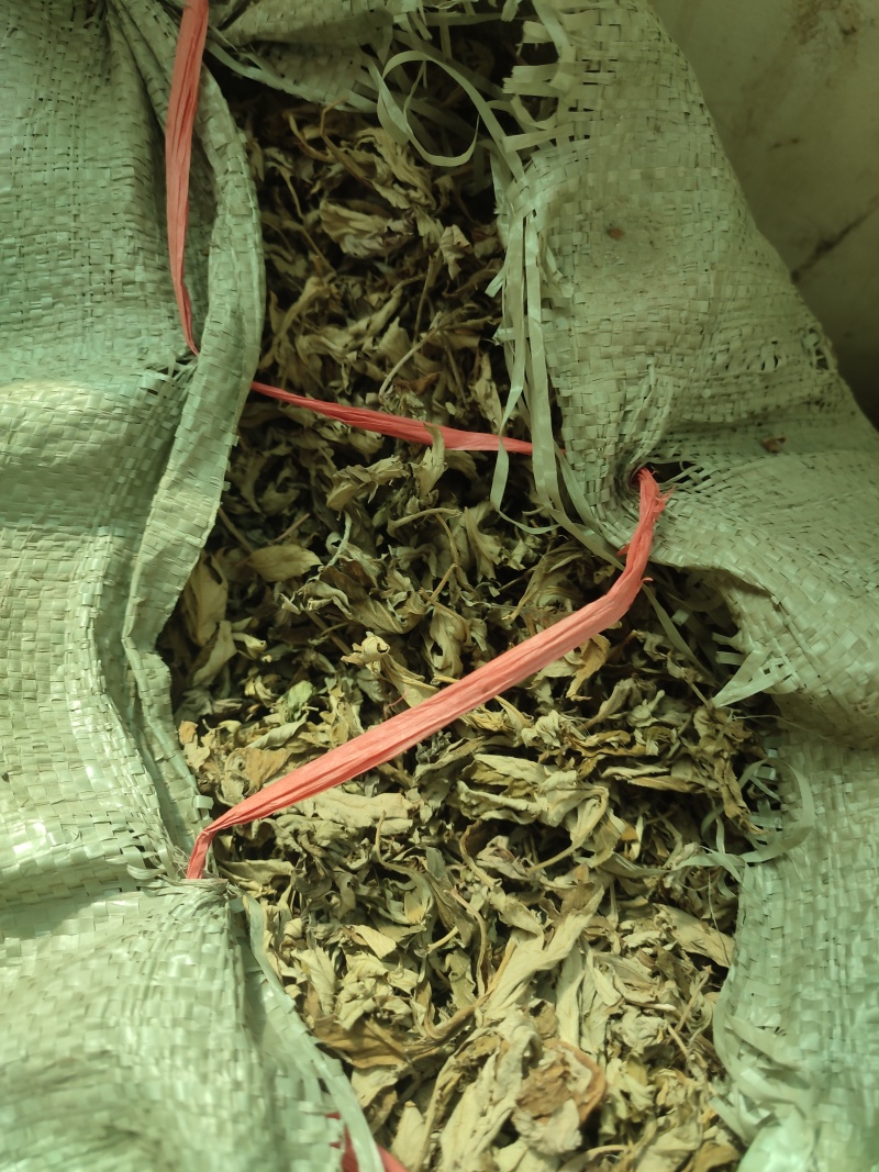 艾叶，大别山野生三年陈艾叶