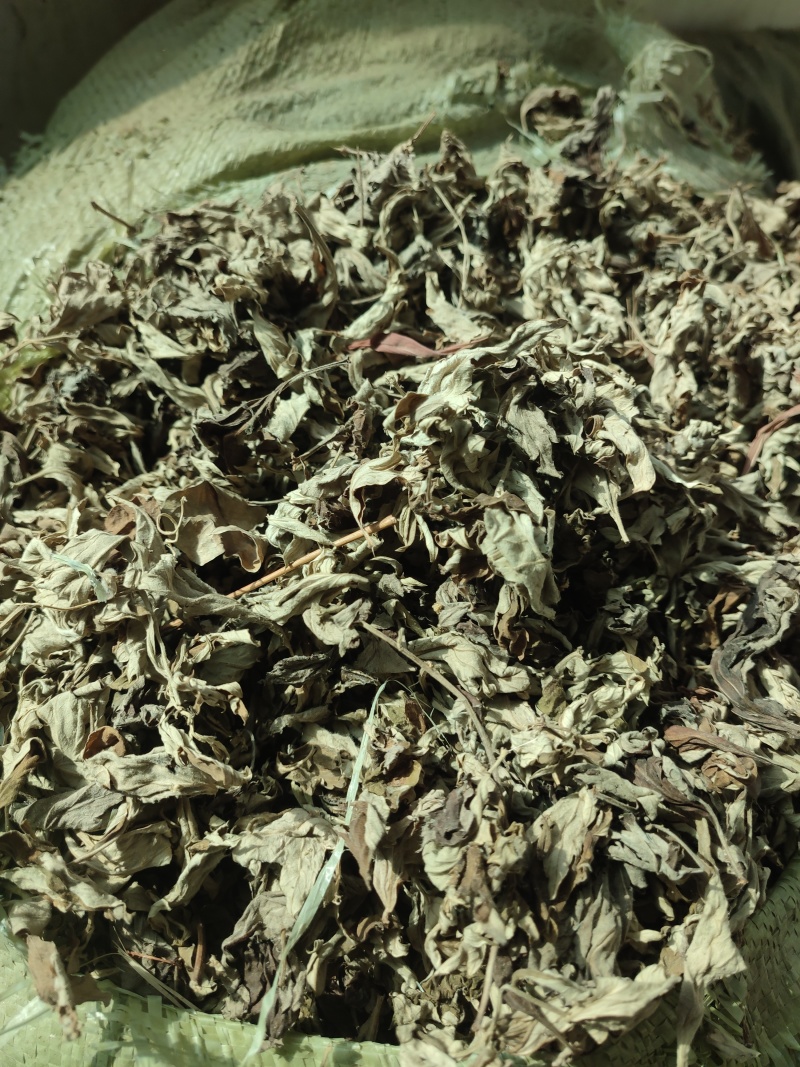 艾叶，大别山野生三年陈艾叶
