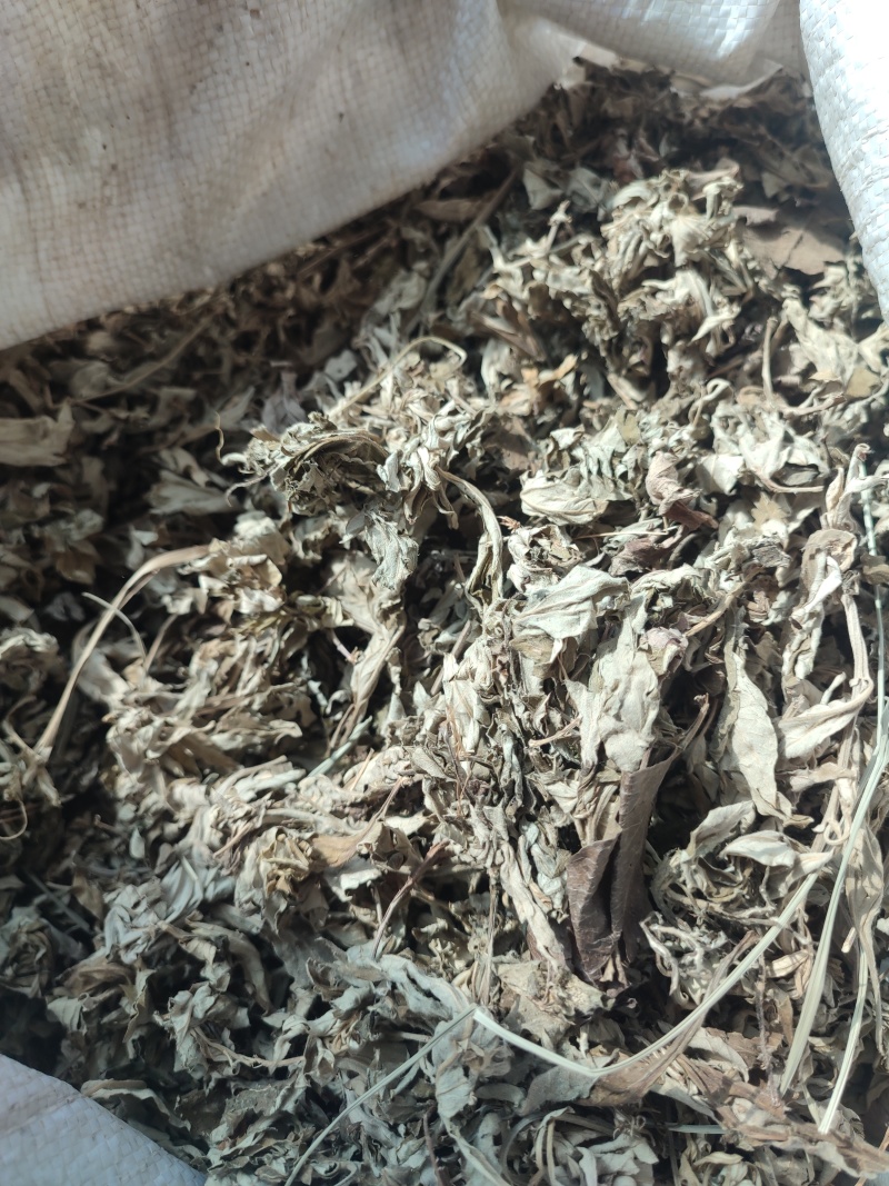 艾叶，大别山野生三年陈艾叶