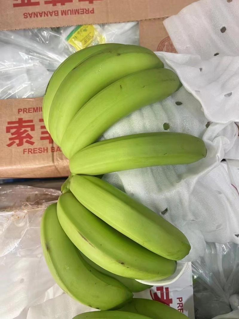 精品香蕉批发