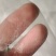 防虫网