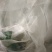 防虫网
