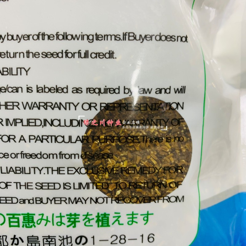 光杆香味茼蒿种子耐热耐寒四季蔬菜种子基地蓬蒿菜种子