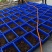 山东香椿芽红油香椿芽欢迎采购，优质品质。大量上市。。。。