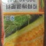 山东鲁霸控释肥，总养分加上控释氮百分之50种了都说好！