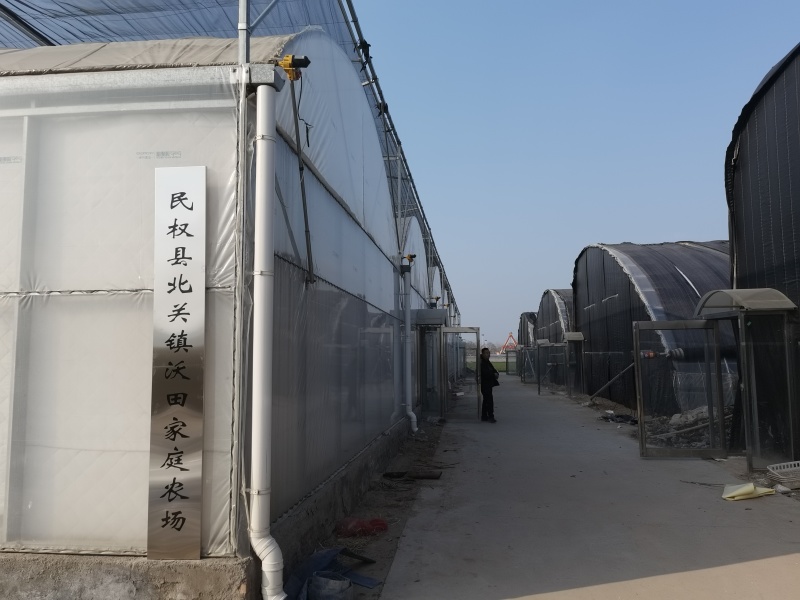 产地直发精品羊肚菌现摘现发货量充足价格优惠可发全国