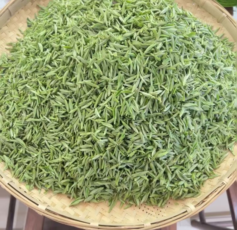 明前茶