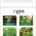 奥植丰0.004%14-羟基芸苔素甾醇植物生长调节剂