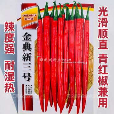 三号椒种子金典新三号线椒种子强辣型青红兼用条椒种籽耐湿热