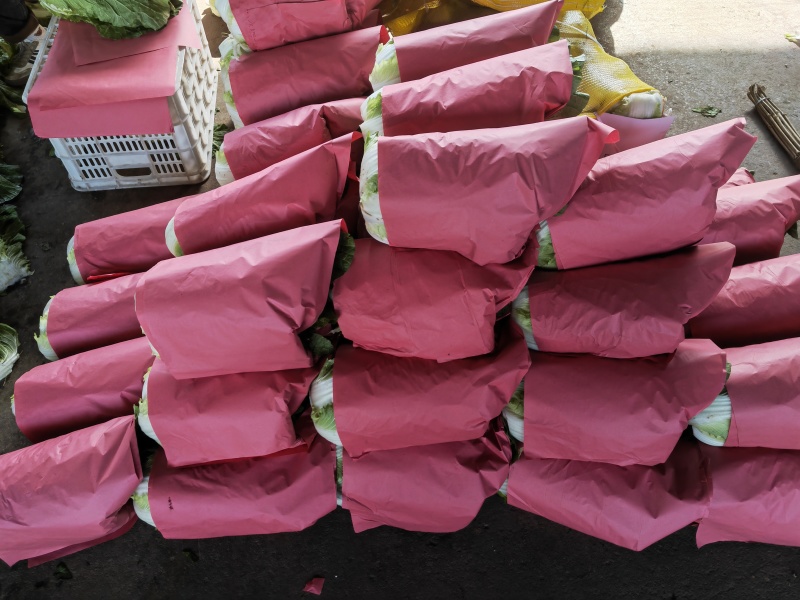 山东产地直发精品黄心白菜货源充足价格优惠可发全国