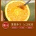 黑美人棕橙一件代发
