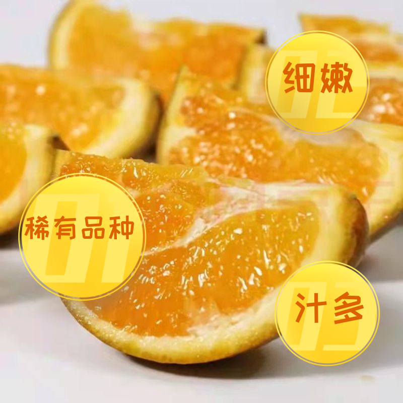 黑美人棕橙一件代发