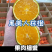 黑美人棕橙一件代发