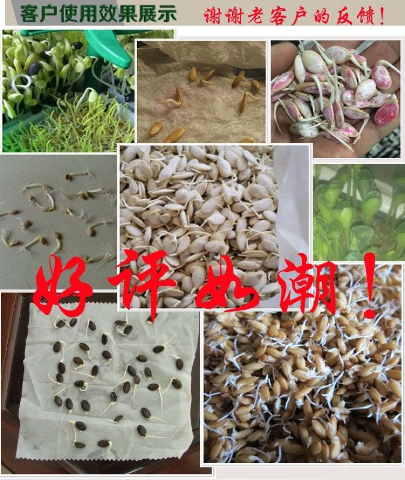 包邮家用恒温催芽盒小型发芽神器种子催芽器恒温发芽箱发芽