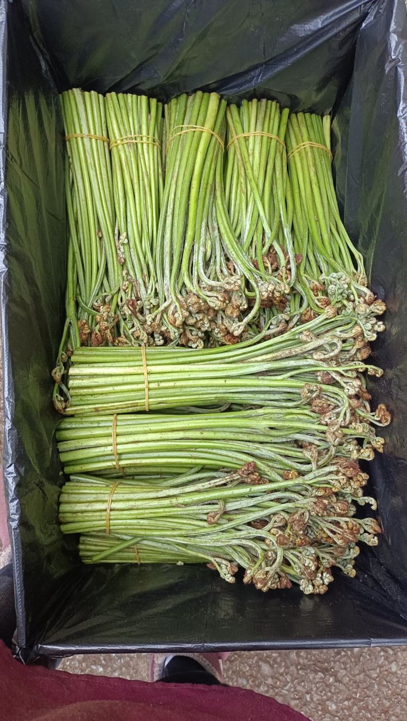 农业产品