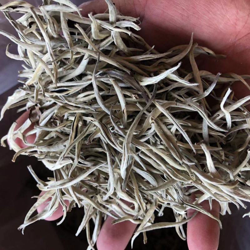 云南普洱景谷大白茶芽头茶头春月光白