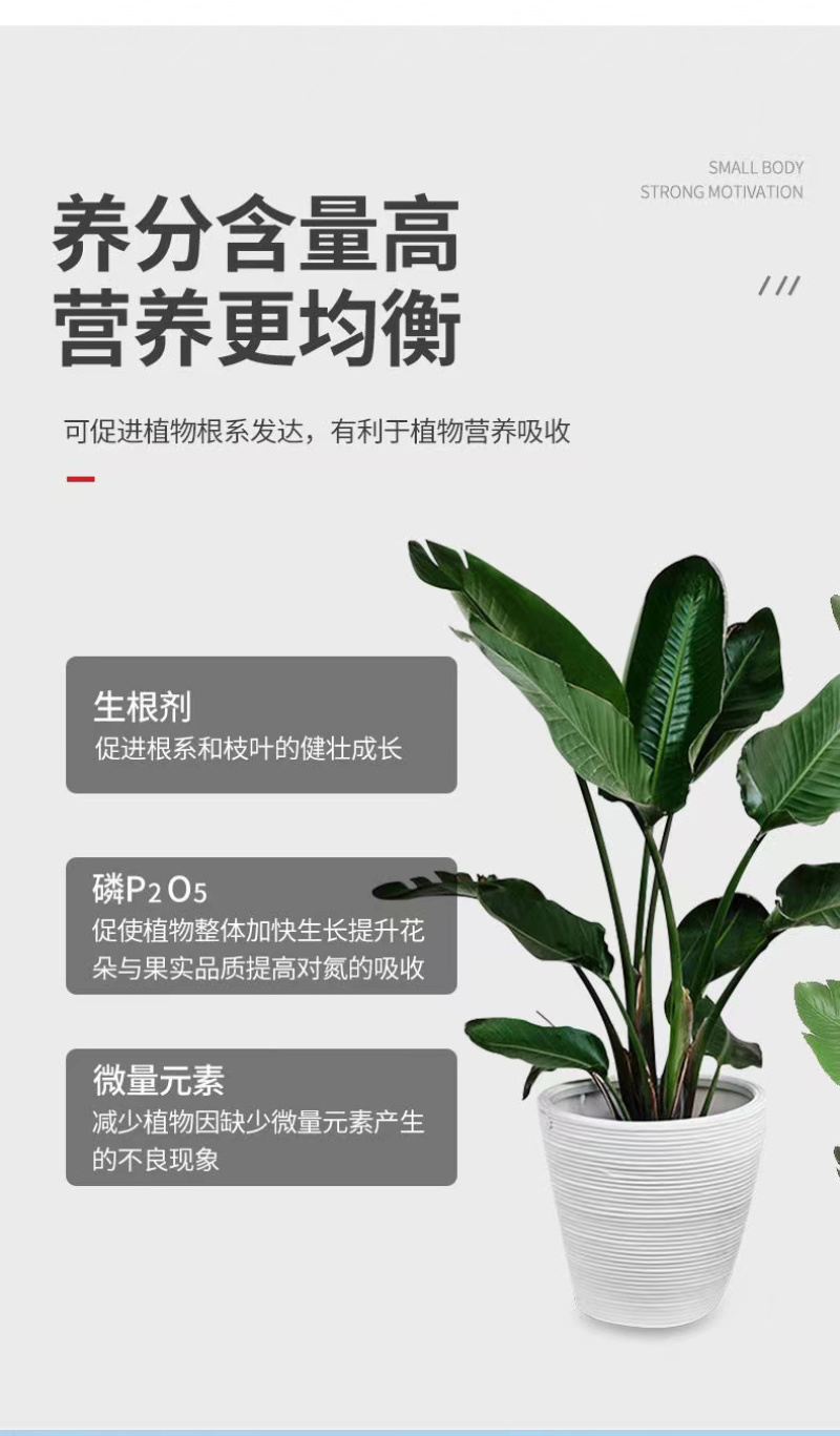 生根粉微量元素水溶肥，养分含量高营养均衡
