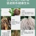 生根粉微量元素水溶肥，养分含量高营养均衡