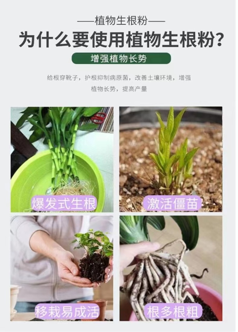 生根粉微量元素水溶肥，养分含量高营养均衡