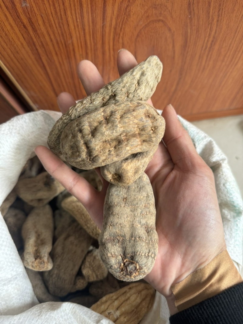 天麻个天麻无硫天麻云南昭通天麻实拍天麻片