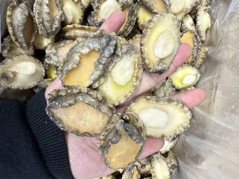 源头工厂，各规格鲍鱼肉可代工贴牌。