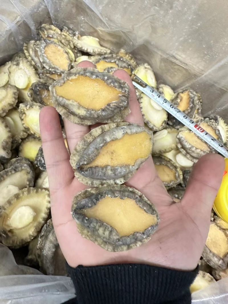 源头工厂，各规格鲍鱼肉可代工贴牌。