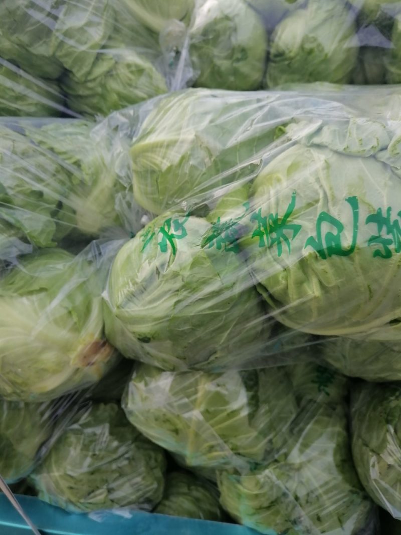 甘蓝菜大量上市有要的老板联系