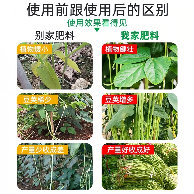 豆角水溶肥料，内含矿源黄腐酸钾，养根系保花保美