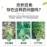 豆角水溶肥料，内含矿源黄腐酸钾，养根系保花保美