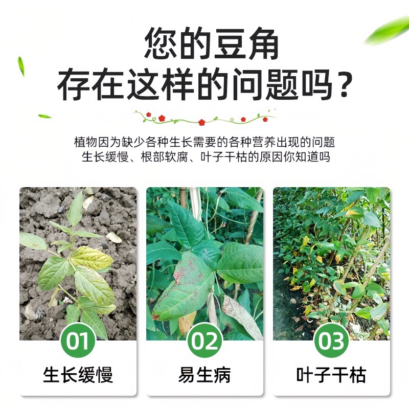 豆角水溶肥料，内含矿源黄腐酸钾，养根系保花保美