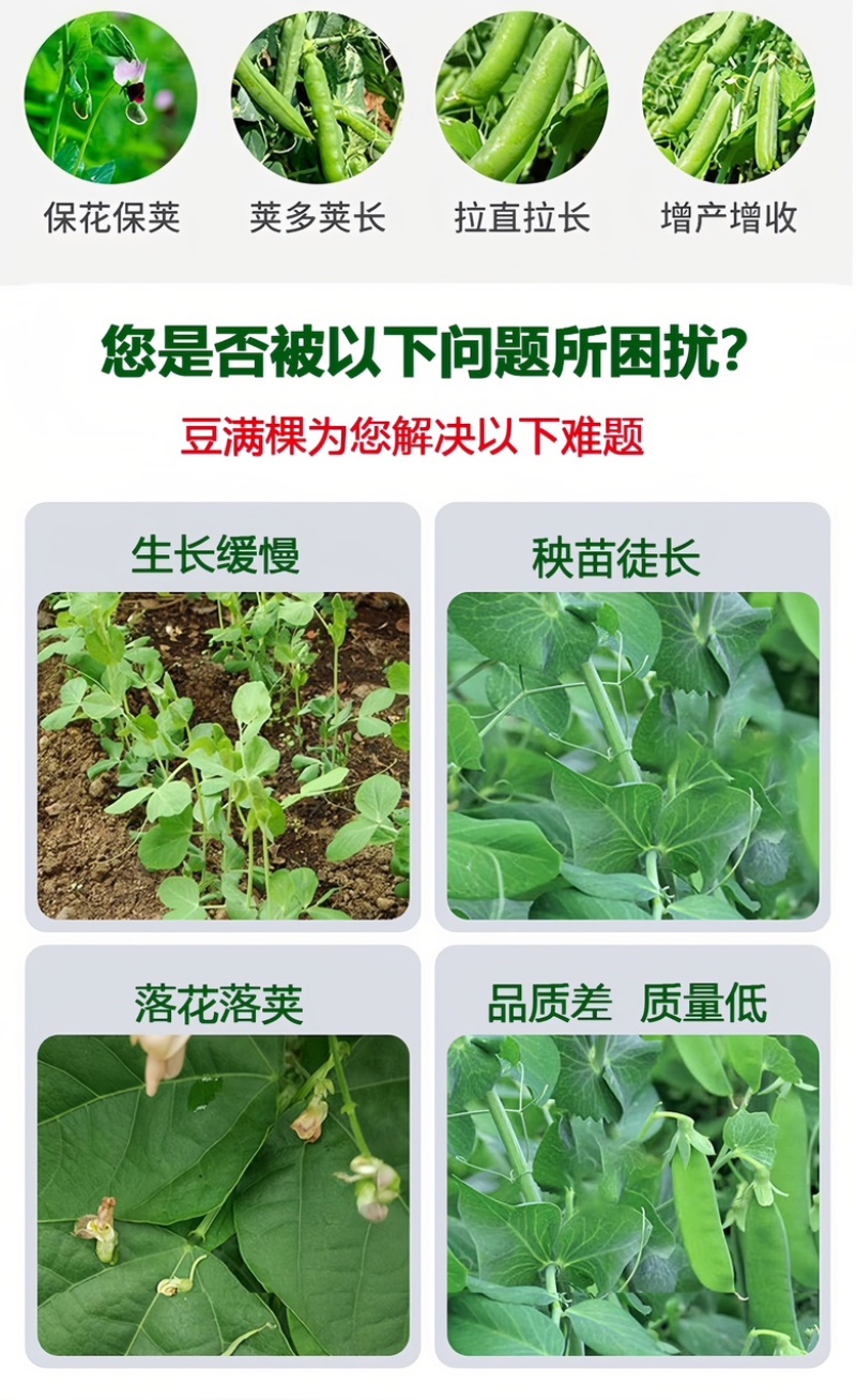 豆角水溶肥料，内含矿源黄腐酸钾，养根系保花保美