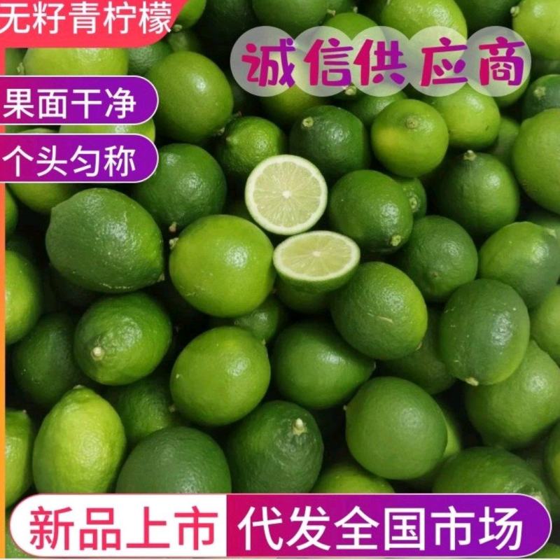 【万亩鲜柠】新鲜现摘现发无籽青柠塔西提无籽青柠，产地直供