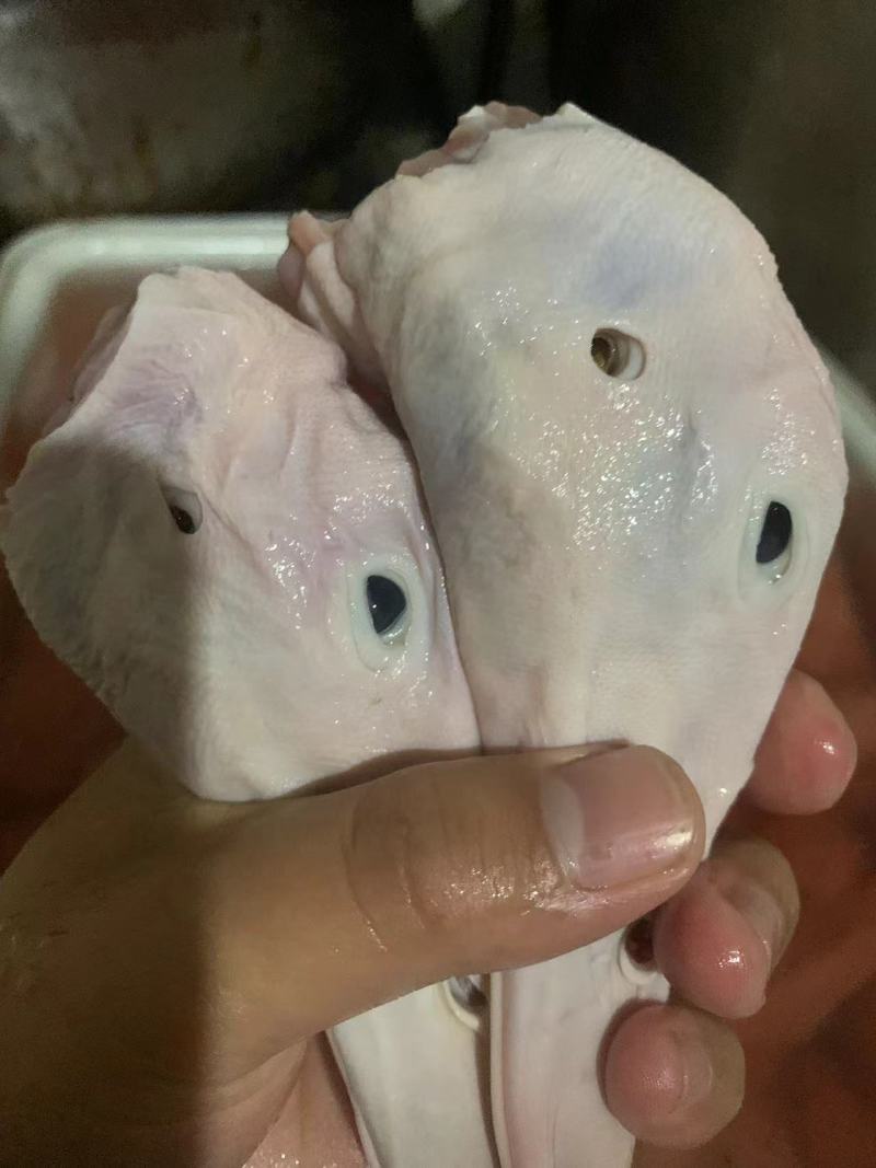 批发冻剪鸭头白条鸭头