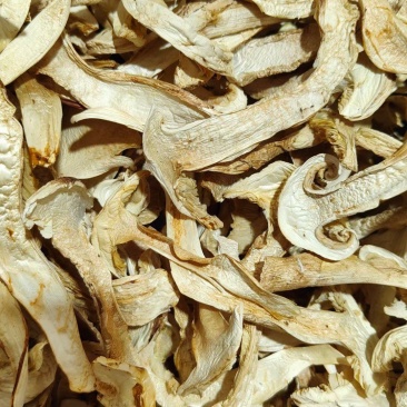 香格里拉野生松茸干货