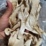 香格里拉野生松茸干货