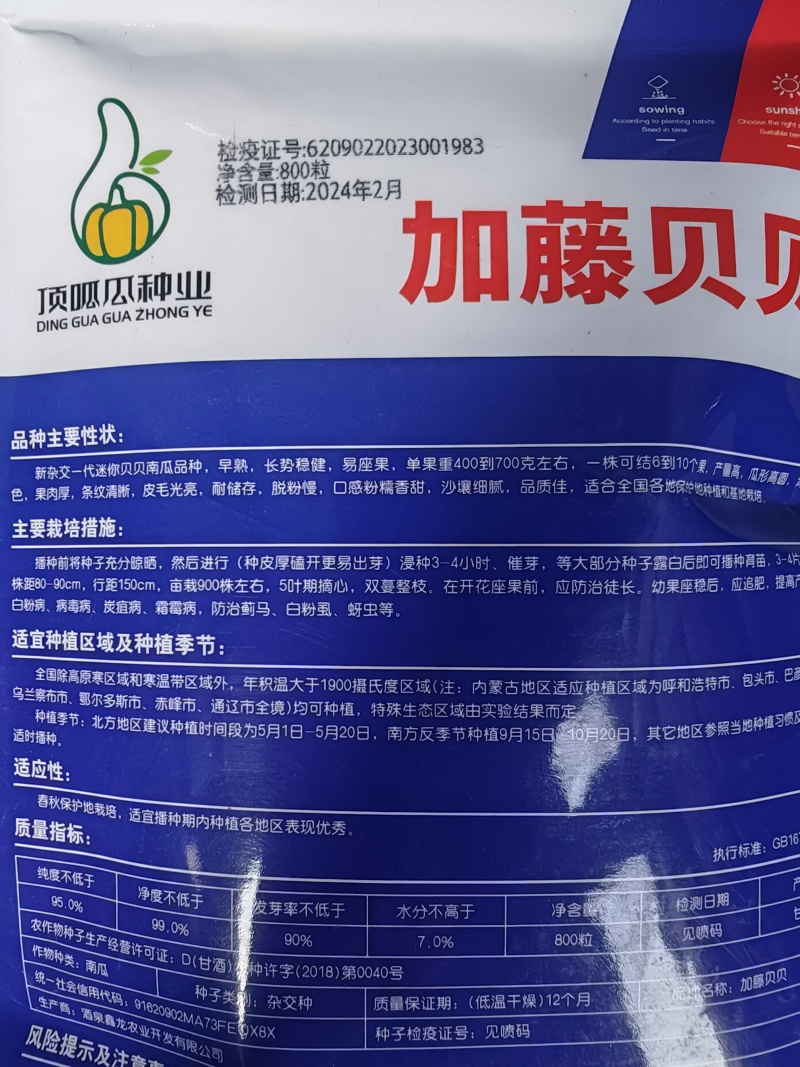 日本加藤贝贝南瓜板栗南瓜，粉糯香甜，包邮