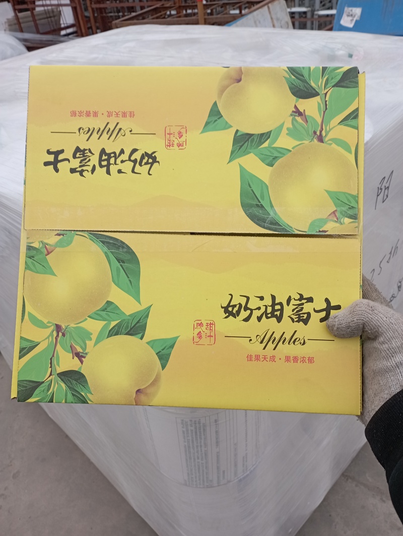 黄金奶油富士苹果山东烟台一件代发电商微商抖企业团购供应链
