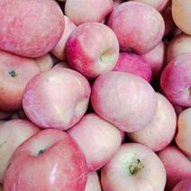 新鲜红富士苹果，莱西产地直发，甜脆可口质量保证