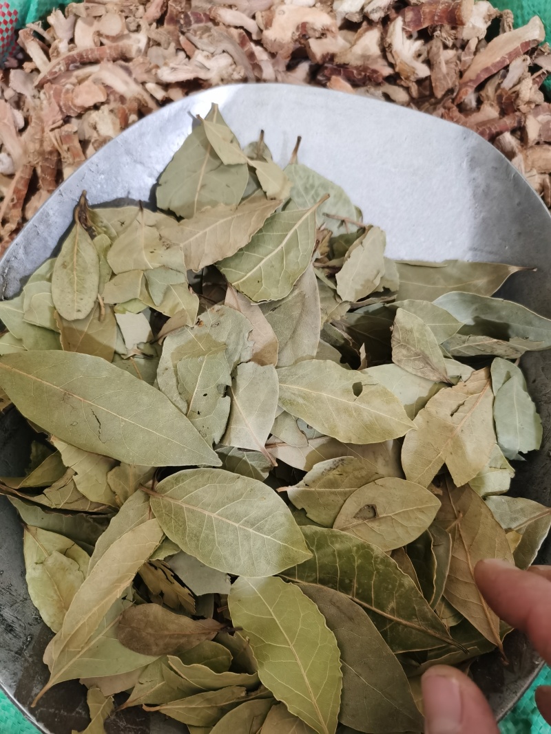 香叶新货颜色好各种香料中药批发零售
