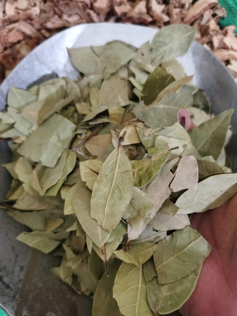 香叶新货颜色好各种香料中药批发零售