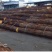 日本进口原木（桧木，榉木，杉木)一手货源可视频看货