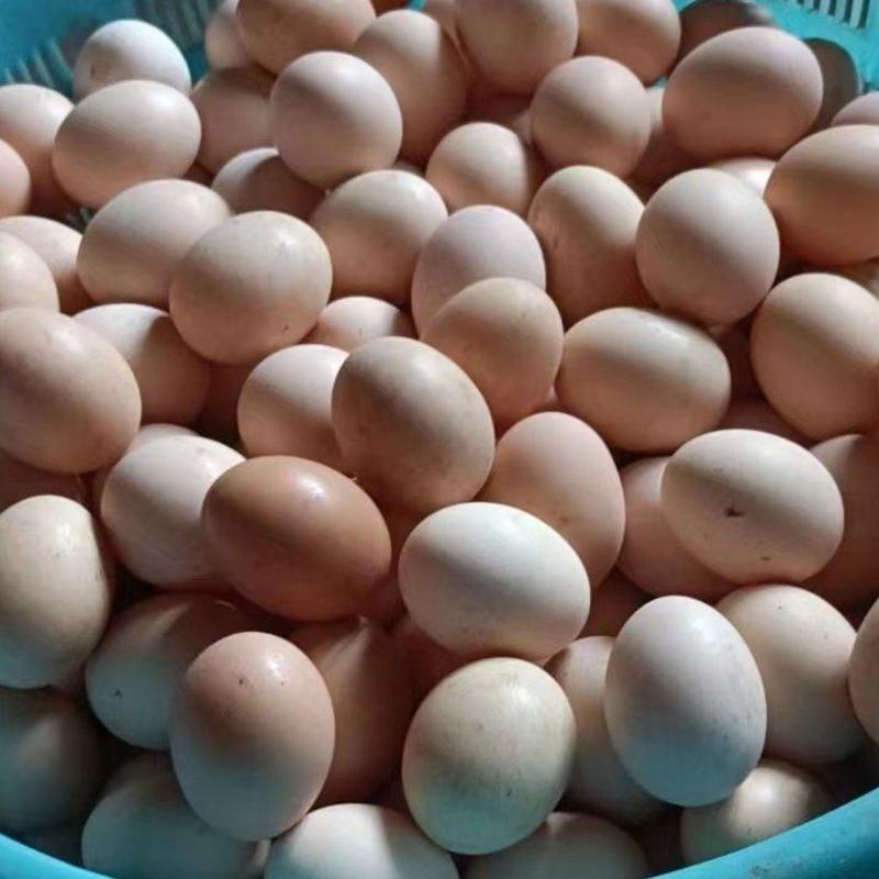 【散养】土鸡蛋恩施富硒自己养殖品质保证60个起包邮