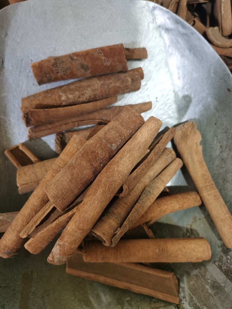 肉桂去皮肉桂各种香料中药材批发零售