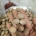肉豆蔻选货肉豆蔻各种香料中药材批发零售