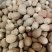 肉豆蔻选货肉豆蔻各种香料中药材批发零售